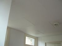 Door een aantal bouwfysische aanpassingen is het plafond\"gered\".